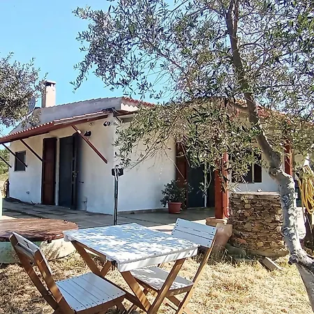 Dom wakacyjny Da Nonno Francesco *