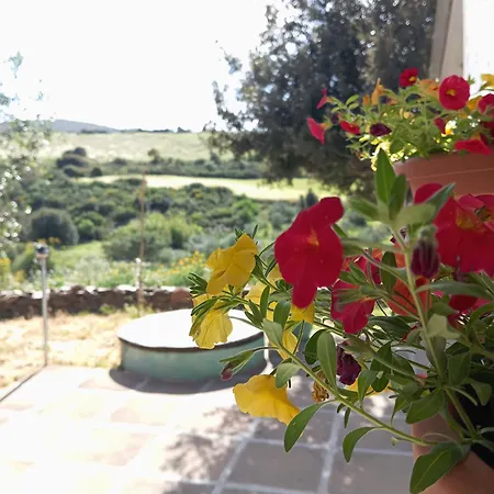 Da Nonno Francesco تويلادا