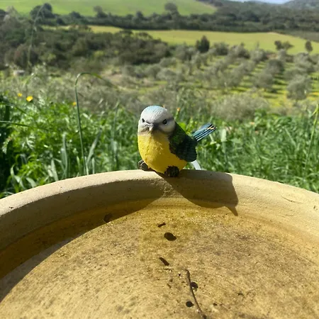 بيت للعطل Da Nonno Francesco *